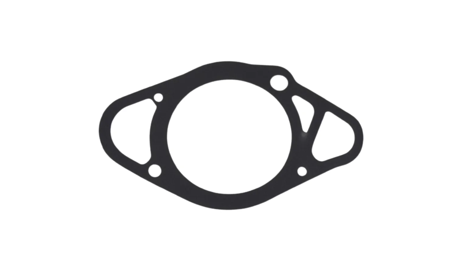 Gasket