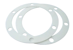 Expanded PTFE sealing gaskets
